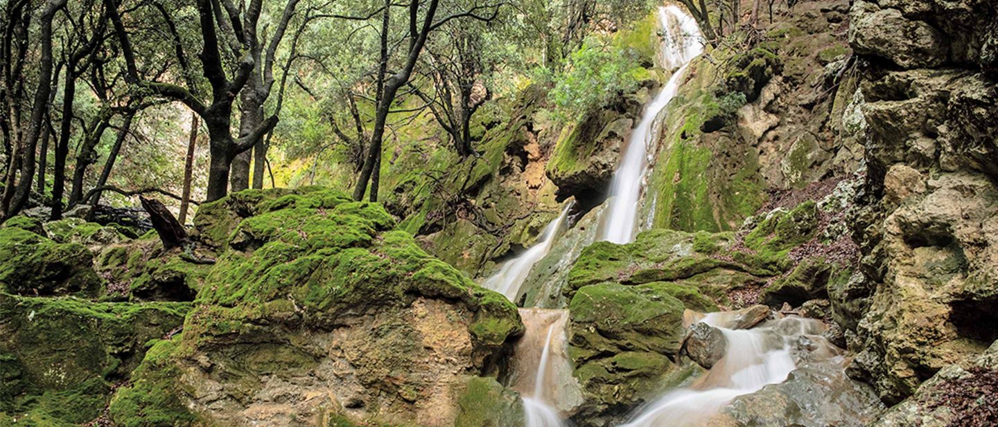 Waterfall flowing over moss-covered rocks surrounded by green forest trees in a natural landscape.