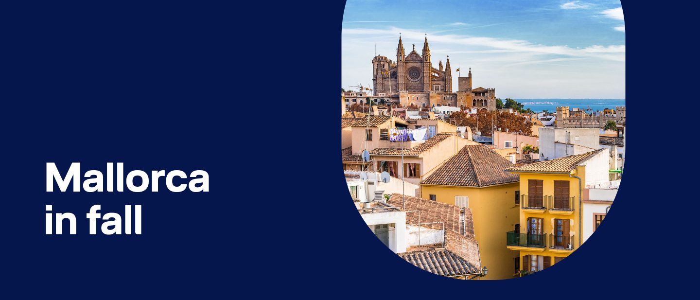 Rooftop view of Palma with La Seu Cathedral and sea in the background